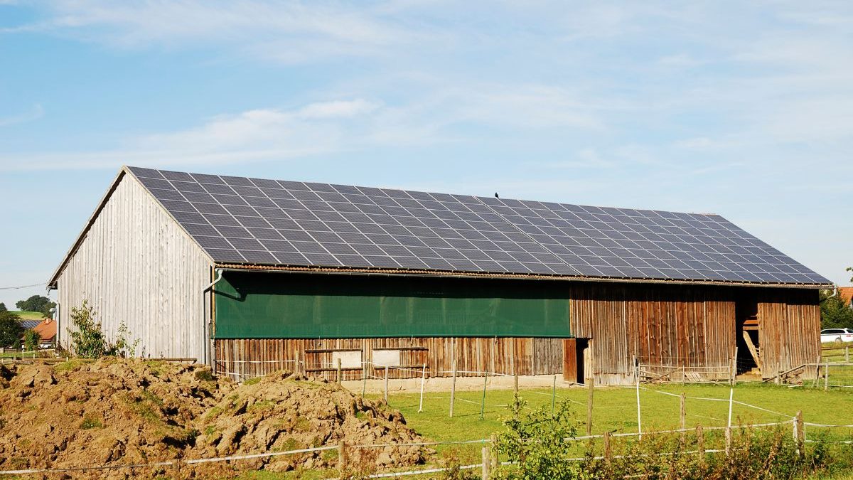 Gandellini Beniamino Srl | Coperture agricole e fotovoltaico